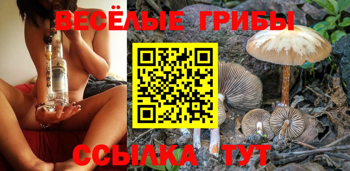 Галлюциногенные грибы ЛСД Орск